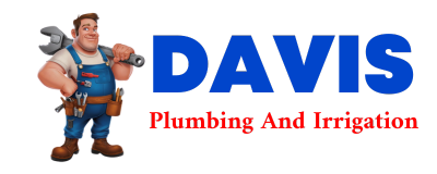 Trusted plumber in LIZELLA